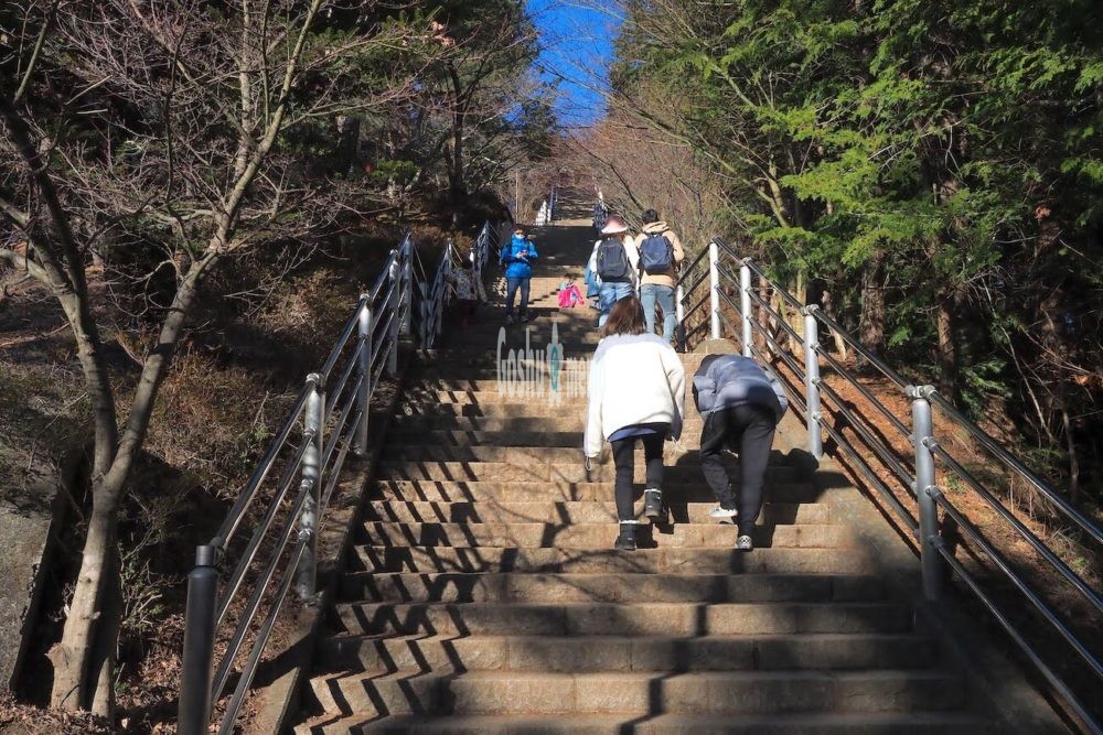 新倉富士浅間神社の御朱印